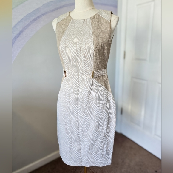 Calvin Klein | Size 6 | Ivory Tan Zebra Print Textured Color Block - Picture 1 of 15